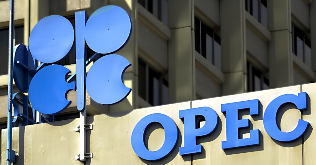 What is OPEC